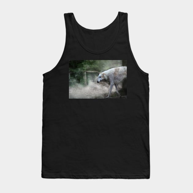 greyhound, whippet - 02 Tank Top by hottehue